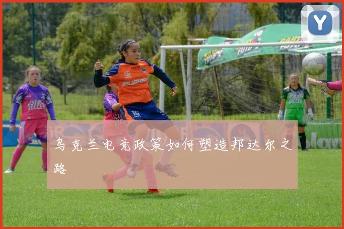 乌克兰电竞政策如何塑造邦达尔之路