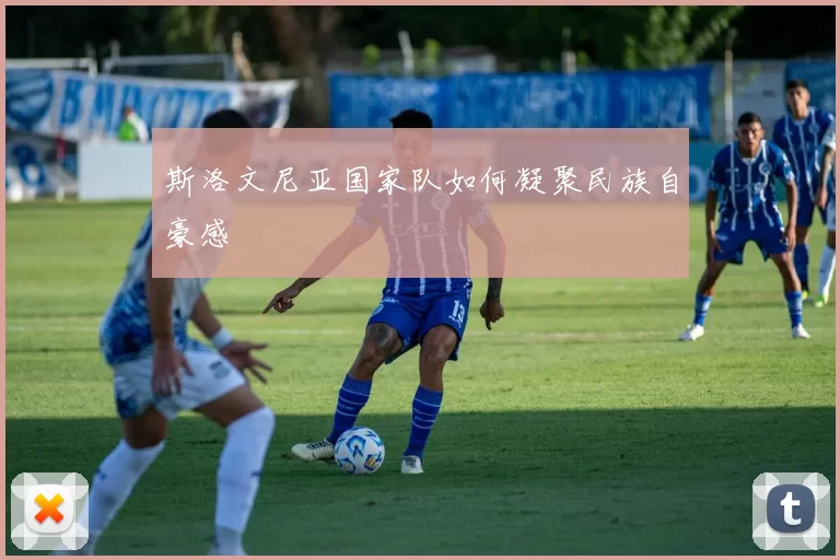 斯洛文尼亚国家队如何凝聚民族自豪感