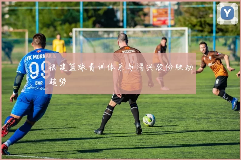 福建篮球青训体系与浔兴股份联动趋势