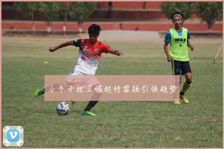 小个子控卫崛起特雷杨引领趋势