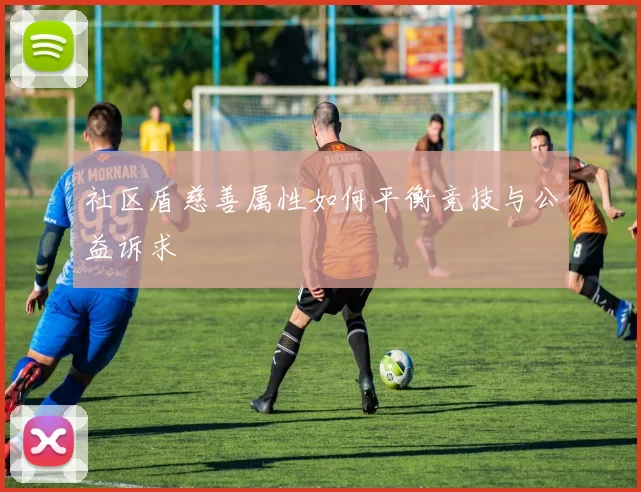 社区盾慈善属性如何平衡竞技与公益诉求