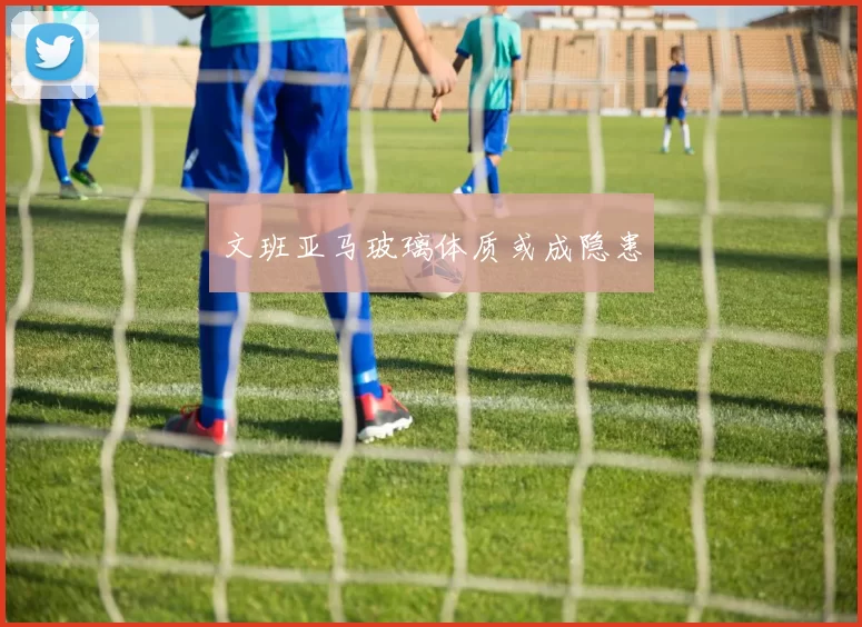 文班亚马玻璃体质或成隐患