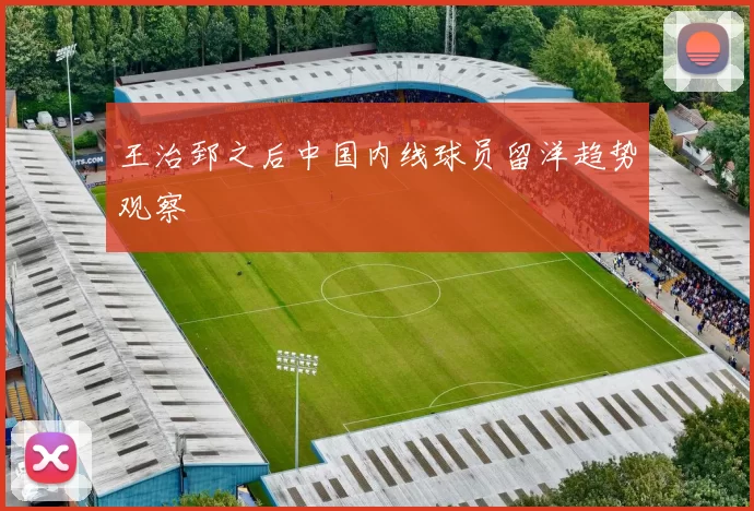 王治郅之后中国内线球员留洋趋势观察
